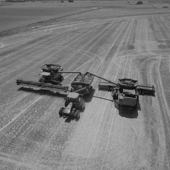 Grain Cart Unloading Texas